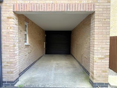 Picture 44